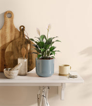 Charger l'image dans la galerie, Misty Blue