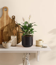 Charger l'image dans la galerie, Stone Black