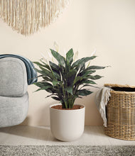Load image into Gallery viewer, Natural Bamboo stand:all