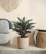 Load image into Gallery viewer, Sandy Pink stand:all