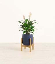 Lade das Bild in den Galerie-Viewer, Deep Navy stand:light