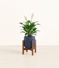 Lade das Bild in den Galerie-Viewer, Deep Navy stand:dark