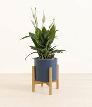 Load image into Gallery viewer, Deep Navy stand:bamboo