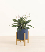Load image into Gallery viewer, Deep Navy stand:bamboo