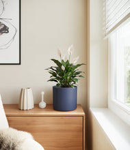 Load image into Gallery viewer, Deep Navy