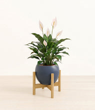 Charger l'image dans la galerie, Deep Navy stand:light