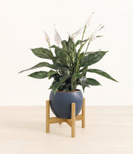 Load image into Gallery viewer, Deep Navy stand:bamboo