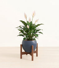 Charger l'image dans la galerie, Deep Navy stand:dark
