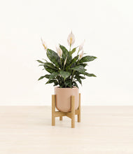 Load image into Gallery viewer, Glossy Pink stand:bamboo