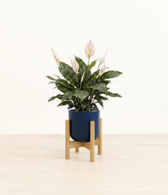 Load image into Gallery viewer, Twilight Blue stand:bamboo