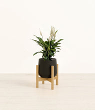 Lade das Bild in den Galerie-Viewer, Black stand:bamboo
