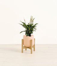 Lade das Bild in den Galerie-Viewer, Gentle Pink stand:bamboo