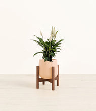 Lade das Bild in den Galerie-Viewer, Gentle Pink stand:walnut