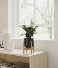 Lade das Bild in den Galerie-Viewer, Stone Black stand:all