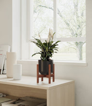 Lade das Bild in den Galerie-Viewer, Stone Black stand:walnut