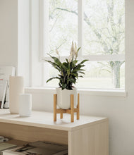 Lade das Bild in den Galerie-Viewer, Cotton White stand:walnut