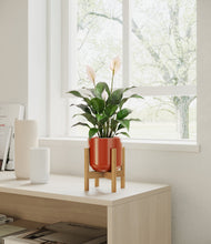 Charger l'image dans la galerie, Glossy Red stand:light