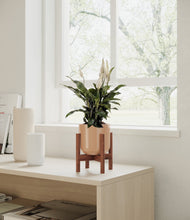 Lade das Bild in den Galerie-Viewer, Glossy Pink stand:walnut