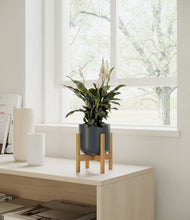 Lade das Bild in den Galerie-Viewer, Iron Gray stand:all