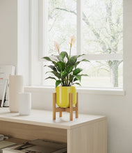 Charger l'image dans la galerie, Key Lime Yellow stand:light