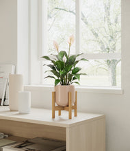 Charger l'image dans la galerie, Sandy Pink stand:light