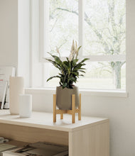 Lade das Bild in den Galerie-Viewer, Olive stand:bamboo