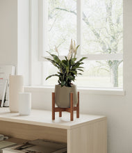 Lade das Bild in den Galerie-Viewer, Olive stand:walnut