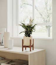 Lade das Bild in den Galerie-Viewer, Almond Green stand:walnut