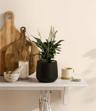Lade das Bild in den Galerie-Viewer, Black