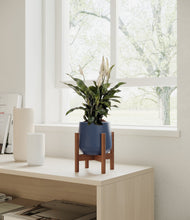 Lade das Bild in den Galerie-Viewer, Deep Navy stand:walnut
