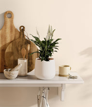 Lade das Bild in den Galerie-Viewer, White