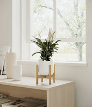 Lade das Bild in den Galerie-Viewer, White stand:bamboo