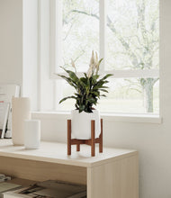 Lade das Bild in den Galerie-Viewer, White stand:walnut