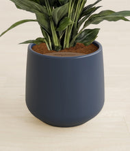Lade das Bild in den Galerie-Viewer, Deep Navy stand:all