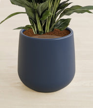 Lade das Bild in den Galerie-Viewer, Deep Navy stand:all
