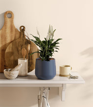 Lade das Bild in den Galerie-Viewer, Deep Navy