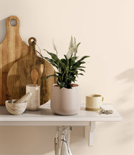 Lade das Bild in den Galerie-Viewer, Eternal Gray