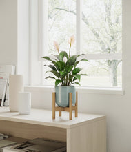 Charger l'image dans la galerie, Reactive Aqua stand:light