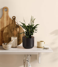 Lade das Bild in den Galerie-Viewer, Stone Black