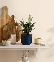 Lade das Bild in den Galerie-Viewer, Twilight Blue