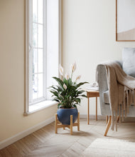 Charger l'image dans la galerie, Deep Navy stand:light