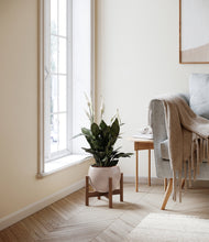 Load image into Gallery viewer, Desert Brown stand:walnut