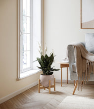 Load image into Gallery viewer, Desert Brown stand:bamboo