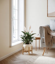 Charger l'image dans la galerie, Shiny EggWhite stand:light
