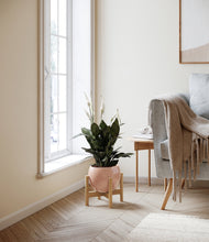 Load image into Gallery viewer, Calm Rose stand:bamboo