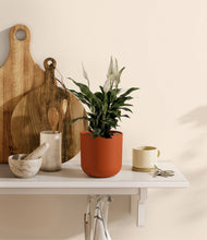 Lade das Bild in den Galerie-Viewer, Earth Red
