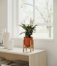 Lade das Bild in den Galerie-Viewer, Earth Red stand:bamboo