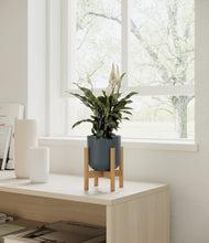 Lade das Bild in den Galerie-Viewer, Iron Gray stand:bamboo