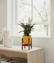 Lade das Bild in den Galerie-Viewer, Sunset Orange stand:walnut