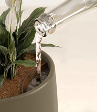 Lade das Bild in den Galerie-Viewer, Olive stand:all